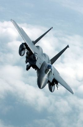 F-15 in Flight